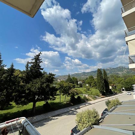 Panoramic View Apartment Përmet Zewnętrze zdjęcie